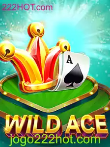 Explorando WildAce: O Novo Fenômeno em 222HOT.com
